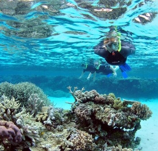 Snorkeling At Mahmya Island From Hurghada