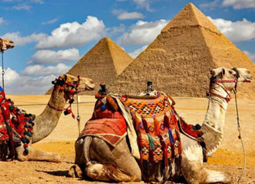 Day Tour to Giza Pyramids & Egyptian Museum