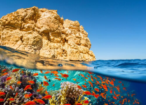 Colored Canyon, Blue Hole & Dahab Day Trip