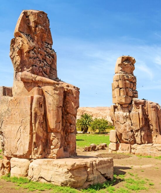 24 Days Cairo & Sharm El Sheikh & Alexandria and Nile Cruise