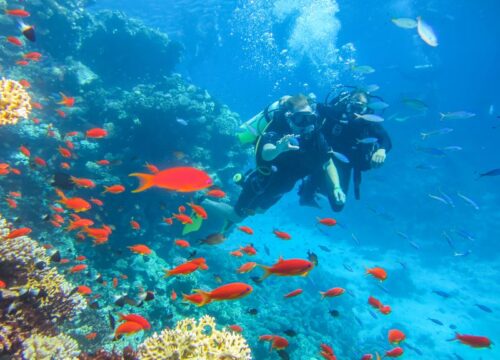 Scuba Diving From Sharm El Sheikh Port
