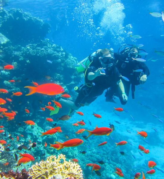 Scuba Diving From Sharm El Sheikh Port