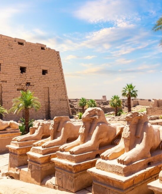 8 Days Trip to Egypt: Cairo & Luxor & Aswan