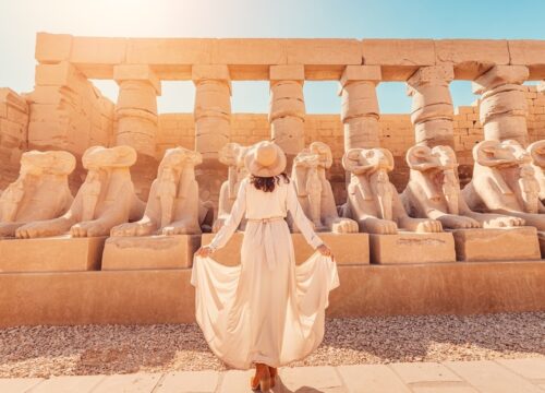 8 Days Trip to Egypt: Cairo & Alexandria & Luxor & Aswan and Abu Simbel by Train