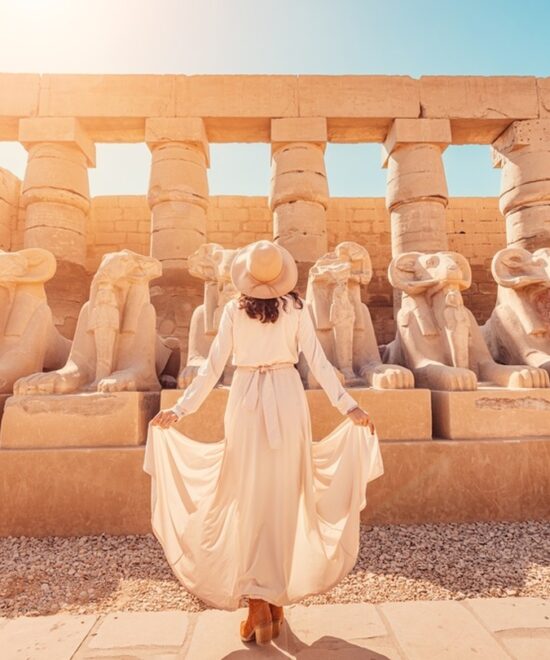 8 Days Trip to Egypt: Cairo & Alexandria & Luxor & Aswan and Abu Simbel by Train