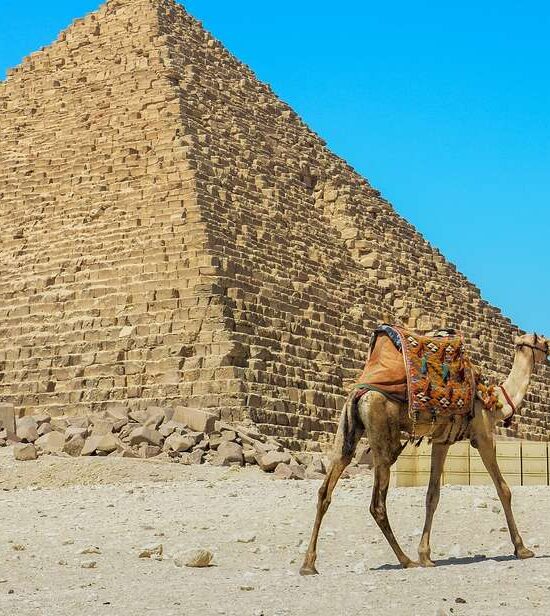 4 Days Tour Pyramids & Cairo and Aswan by Sleeper Train