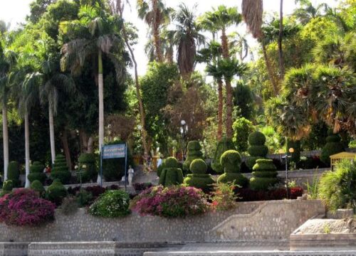 Private day tour to The Botanic Gardens and Botanical Museum