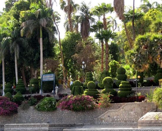 Private day tour to The Botanic Gardens and Botanical Museum
