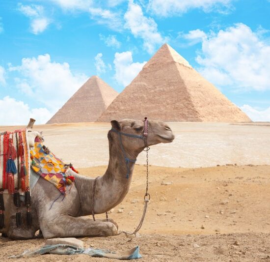 Day Tour to Giza Pyramids With camel ride