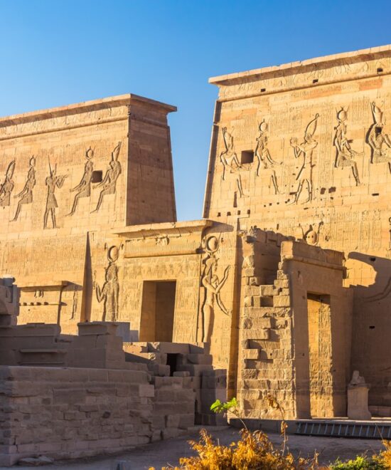 8 Days Cairo & Alexandria & Luxor & Dendera & Edfu & Kom Ombo and Aswan