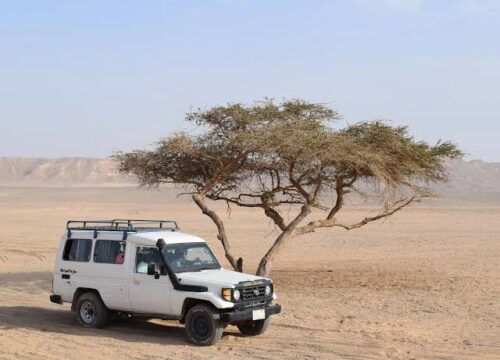 Wadi El Natroun Monasteries Tours from AlexandriaDesert Super Safari by Jeep from Marsa Alam
