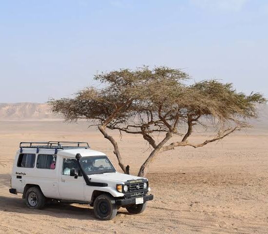 Wadi El Natroun Monasteries Tours from AlexandriaDesert Super Safari by Jeep from Marsa Alam